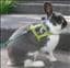 Soffido