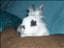 Saandra-
